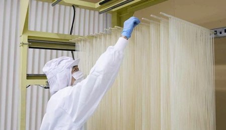 【分享】手延面（手工掛面）全解讀